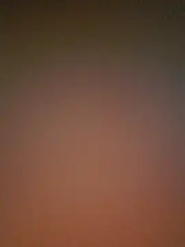 Lizbeth Rouse online show from December 3, 11:41 am