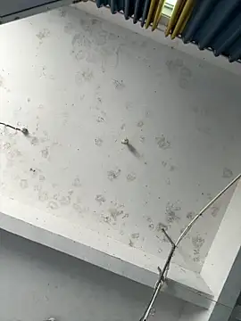 Snapshot of coco-o chatting on September 26, 3:10 am coco-o online show from September 26, 3:10 am