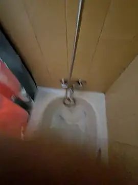 tonipit online show from December 14, 8:24 pm