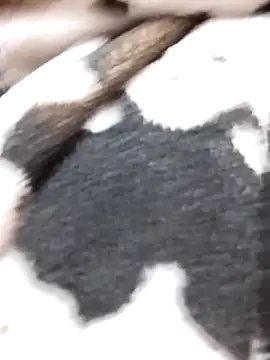 Laxmi 89 online show from November 27, 3:52 am