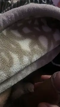 longfuckk online show from December 15, 4:11 pm