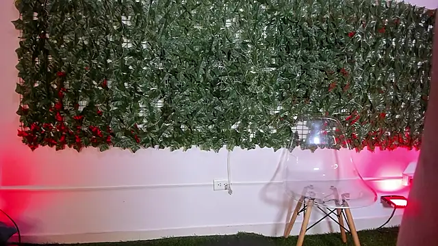 Snapshot of BellaRoux1 chatting on February 14, 12:35 pm BellaRoux1 online show from February 14, 12:35 pm