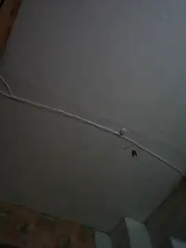 Romashka33011 online show from November 6, 8:15 am