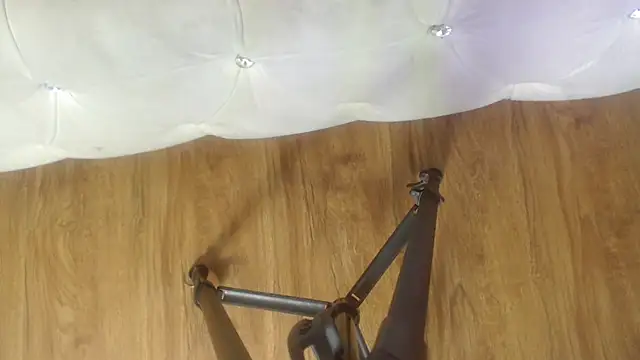 Snapshot of RylieRoss chatting on November 27, 1:35 pm RylieRoss online show from November 27, 1:35 pm