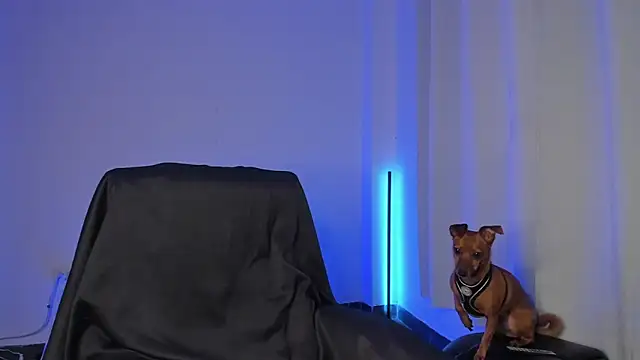 nathan blake online show from December 19, 7:32 pm