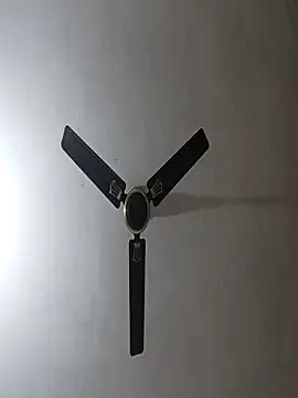 NoxiousFilename online show from November 10, 5:50 am