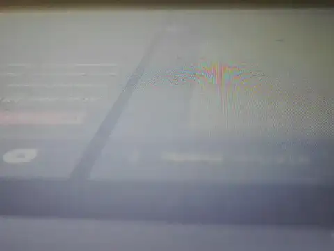 B-e-l-l-e online show from February 16, 1:51 pm