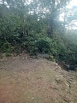 quynhkoolbae online show from February 21, 12:44 am