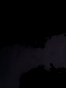 Apkisona8 online show from November 1, 2:08 pm