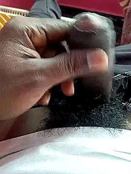 dolphiinn online show from December 5, 4:54 am