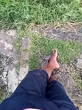 dolphiinn online show from December 23, 1:03 am