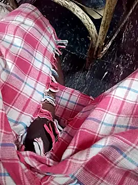 dolphiinn online show from January 13, 2:22 pm