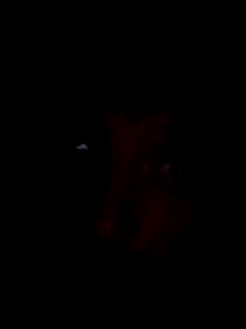 Potch8duim online show from November 2, 7:49 pm