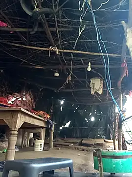 cute diya 12 online show from December 17, 3:01 am