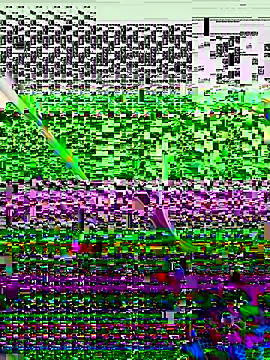 vergeta19 online show from November 8, 4:12 am