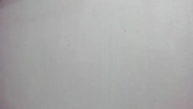 scarlett646 online show from November 14, 3:05 am