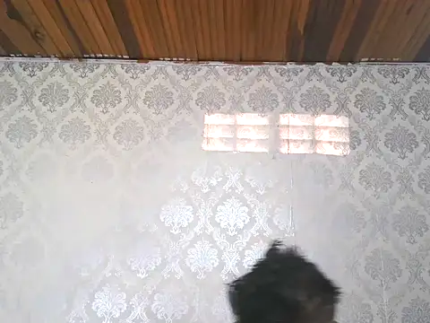 Snapshot of leandro477 chatting on September 13, 9:14 pm leandro477 online show from September 13, 9:14 pm
