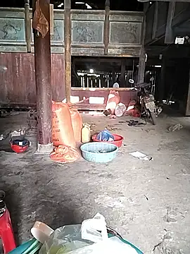 venu00 online show from December 2, 3:01 am