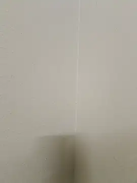 Snapshot of JackandJill124 chatting on November 1, 12:29 pm JackandJill124 online show from November 1, 12:29 pm