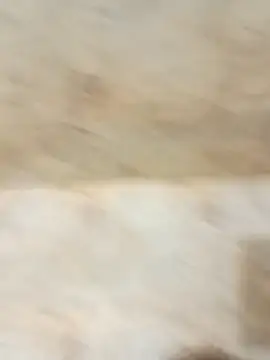 king godgm online show from December 20, 1:34 am