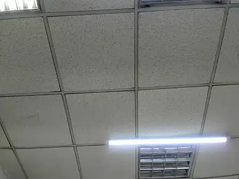 ScarletDoll online show from October 24, 2:52 am