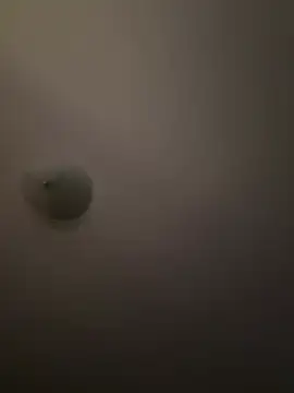 Troydaddy578 online show from April 1, 4:24 am