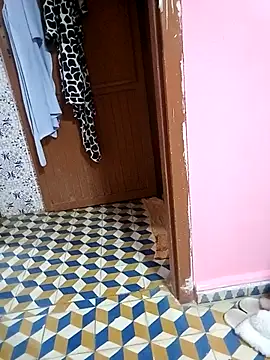 Snapshot of Mayamimi chatting on November 8, 9:31 am Mayamimi online show from November 8, 9:31 am