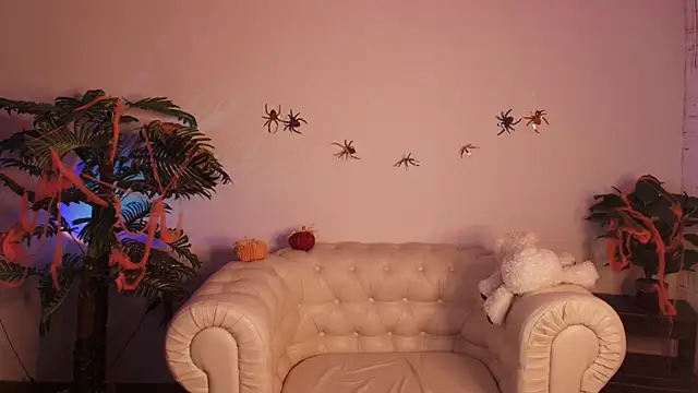 Moana light online show from November 7, 2:44 am