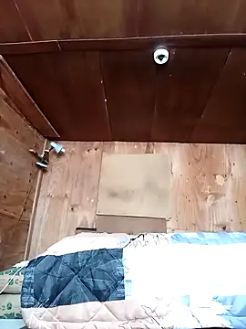 phumlanisanka online show from December 23, 9:40 am