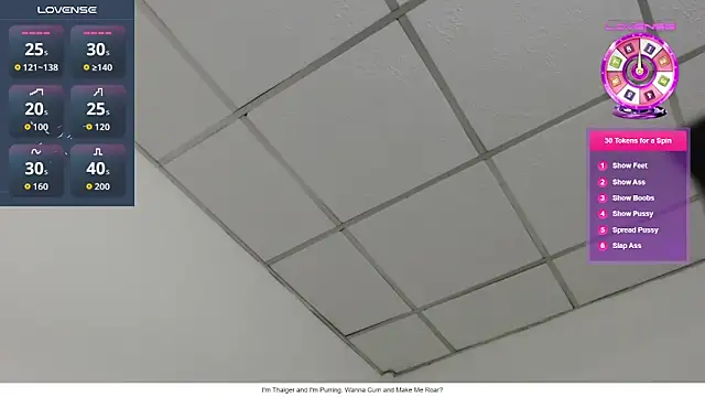 Busty-Thaiger online show from June 1, 6:53 pm