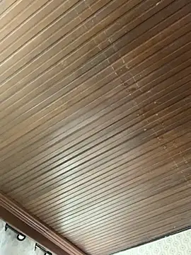 Jasmin Pink online show from November 19, 3:12 pm