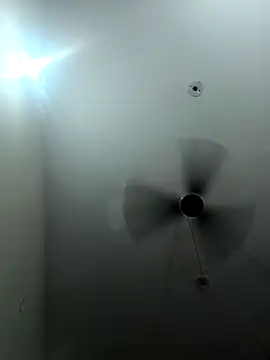 Appypie online show from September 16, 4:41 pm