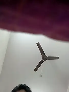 Appypie online show from November 16, 6:41 am