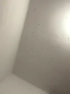 davidxxx099 online show from November 22, 10:31 pm