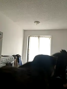 inked nekoo online show from December 3, 3:32 pm