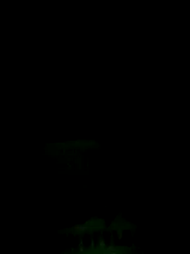 Lisa pusy online show from September 15, 10:59 am