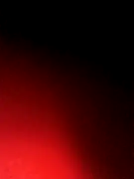 BlackCobraOwner online show from October 15, 11:21 am