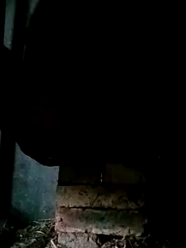 Snapshot of NegroArg_22 chatting on October 2, 9:44 pm NegroArg 22 online show from October 2, 9:44 pm