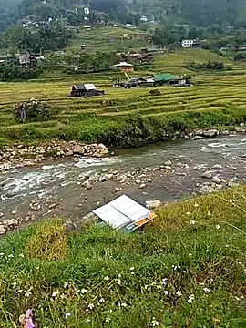 bing-bing88 online show from September 14, 3:49 am