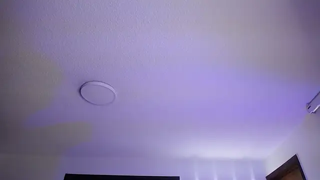  Charlotte Collins  online show from November 3, 2:29 pm