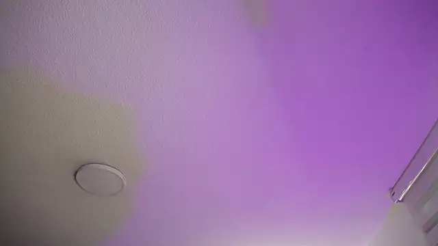  Charlotte Collins  online show from November 22, 2:16 pm