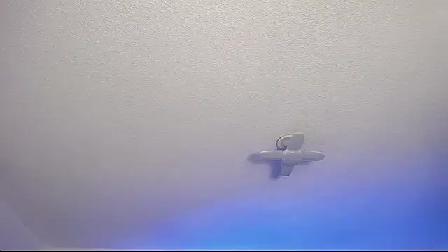  Charlotte Collins  online show from February 9, 2:54 pm