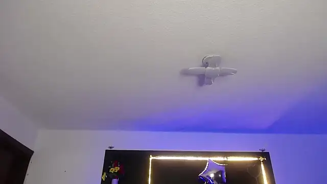  Charlotte Collins  online show from March 4, 2:34 pm