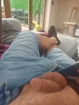 stunning stallion online show from September 9, 9:31 am