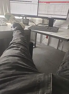 stunning stallion online show from October 10, 11:20 am