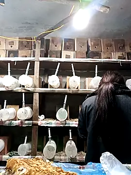 AnHa19 online show from March 14, 9:59 am