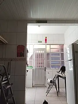 dinho carioca online show from February 13, 12:12 pm