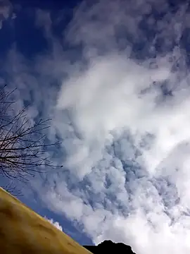 tcm-cute online show from October 23, 3:06 am