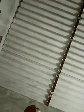 Payal950 online show from November 13, 3:22 pm