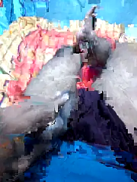 Hyd-bad-boy-25 online show from September 27, 5:56 am